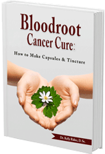 Bloodroot Cancer Cure: How to make Capsules and Tincture